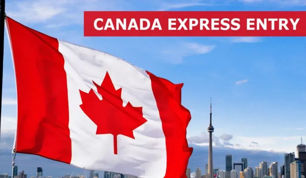 20万申请人在EE池中被捞无望！